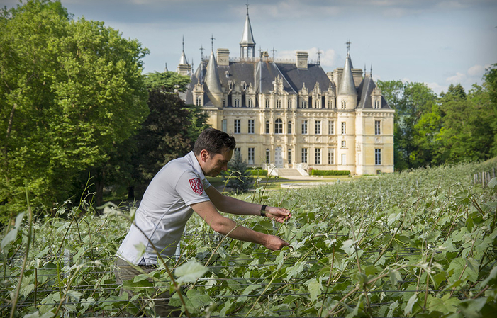 Visit - Champagne tasting €40.00