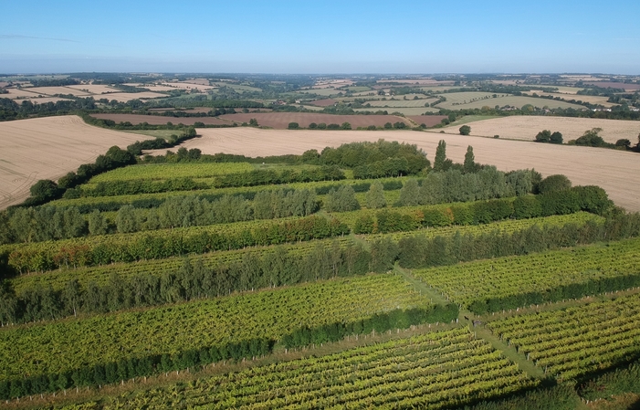 Visit and tasting - Giffords Hall €40.00