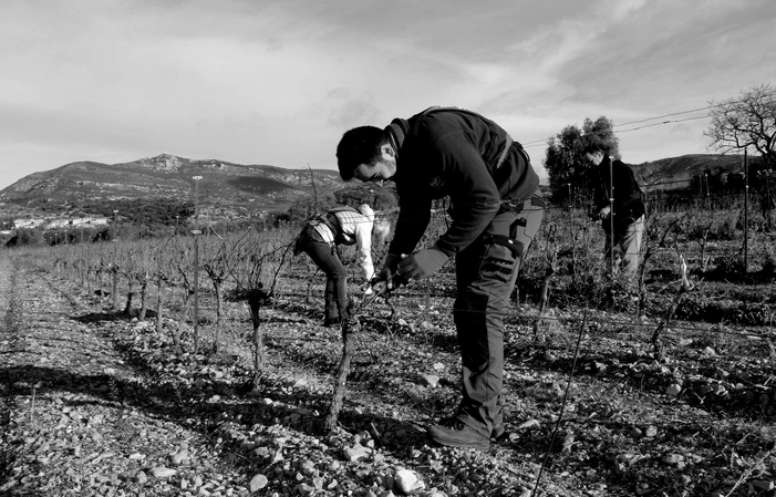 Visit and tastings of the clos du lucquier €1.00