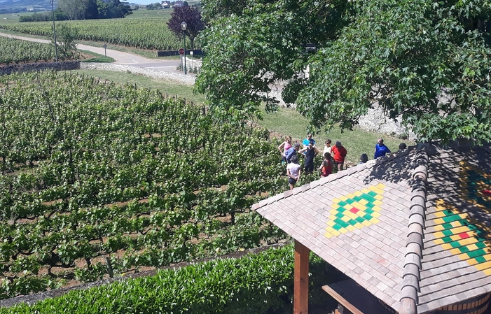 Bader Mimeur: visit and tasting €1.00