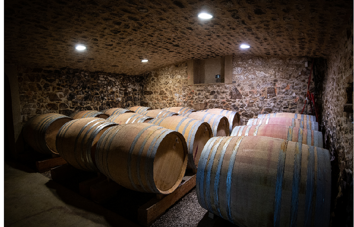 Visit and Tasting at the Domaine du Monteillet €1.00