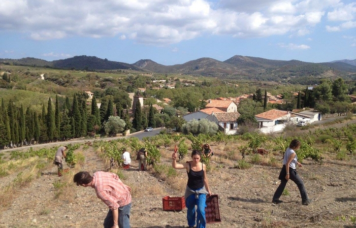 Grand Guilhem: Visit and tasting at the estate €22.00