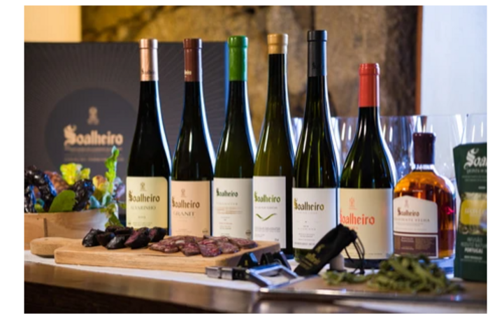 Visit and wine tasting of Alvarinho, wine tasting and bio-Soalheiro tea €1.00