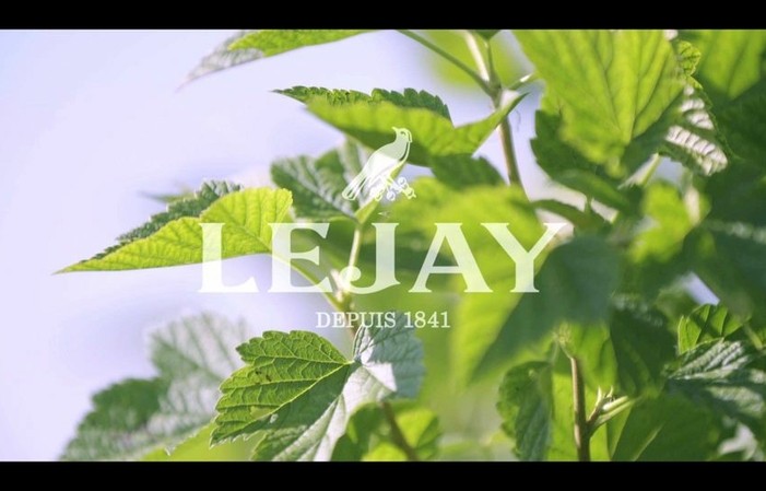 Visit and tastings of the Distillery Lejay Cassis €1.00