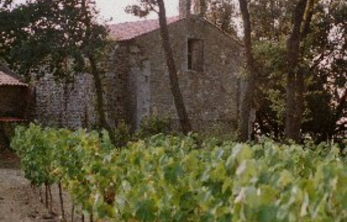 Tasting tour of the Domaine de Cousignac €15.00