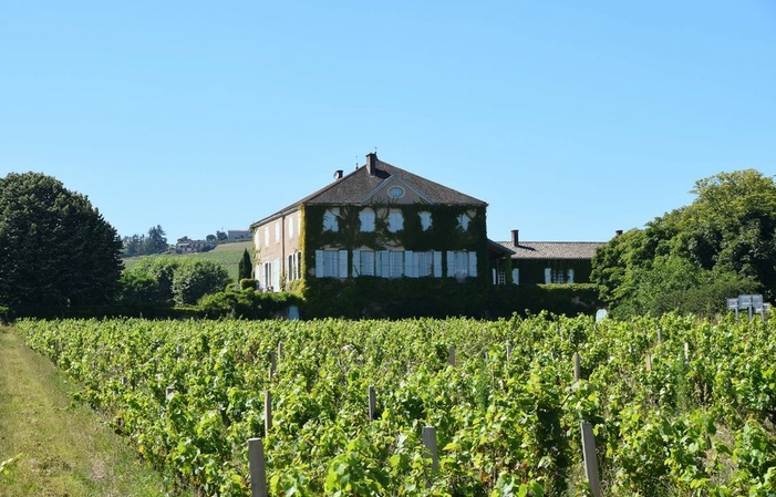 Visit and tastings at the Château des Bachelards €44.00