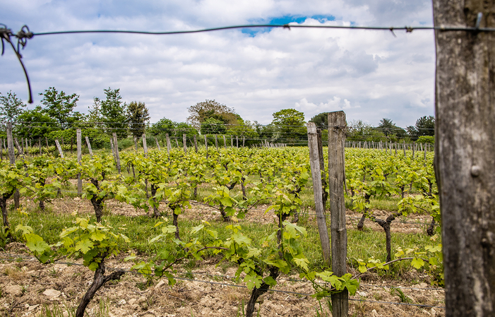 Visit the Domaine Des Béguineries €1.00