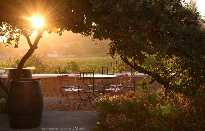 Visit and tastings of the DOMAINE DE LA NOBLAIE €1.00