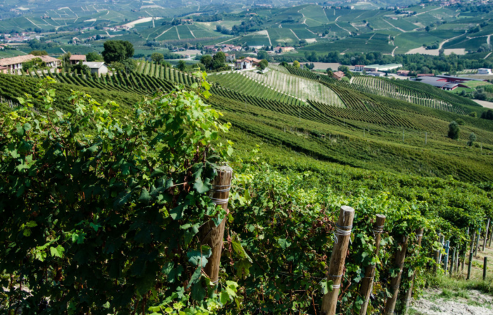 Visit and Tasting at Domaine Roberto Voerzio €1.00