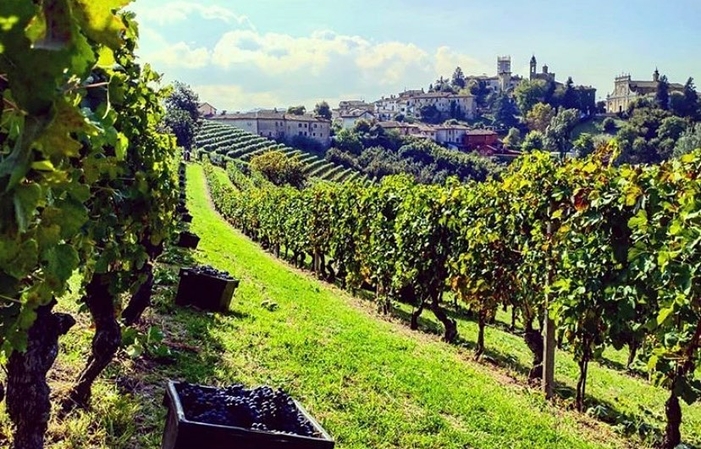 Visit and wine tasting €1.00