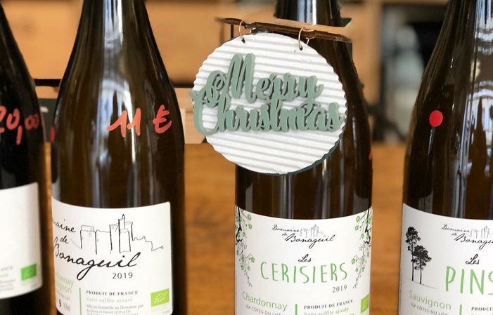 Visit to the tasting of the Domaine de Bonaguil €1.00
