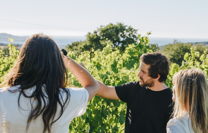 INTRODUCTION TO OUR TERROIRS €35.00