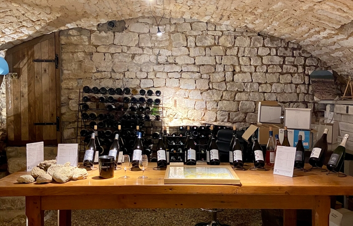 Tasting discovery wines of Chablis and Auxerrois €1.00