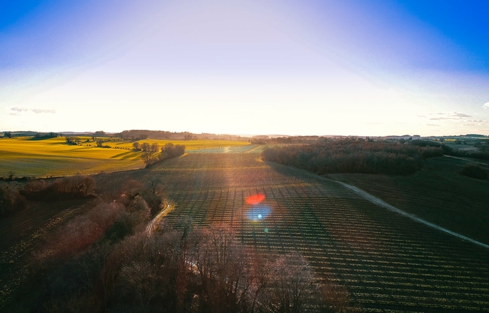 Visit and Tasting at the Domaine de Mirail €1.00