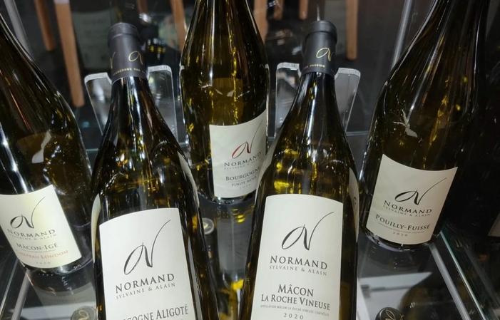 Visit and tasting Domaine Normand €1.00