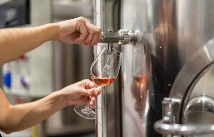 Visit and taste at the Château De L'escarelle €10.00