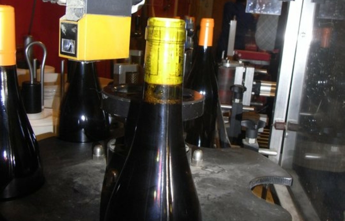 Visit and tastings of the Domaine Paire €18.00