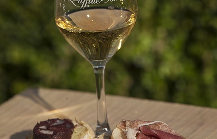 Visit and gourmet tasting at Château Laffitte-Teston €15.00