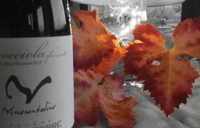 Visiete and tastings at Podere Della Torre Vini €1.00