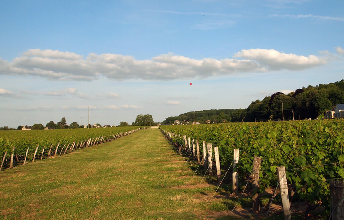 Visit and Tasting at Vaugaudry Castle €1.00
