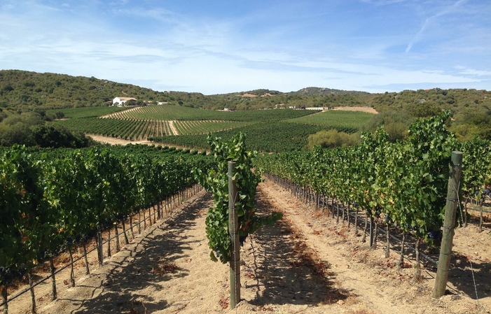 Visit and Historical Tasting €50.00