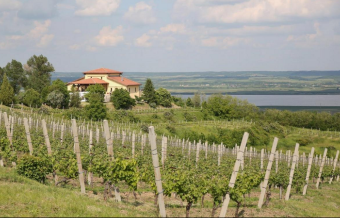 Visit Of STIRBEY WINERY - DRAGASANI €16.00