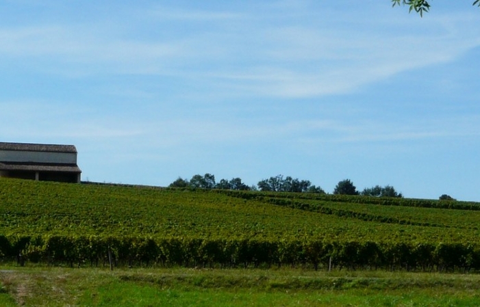 Visit and tasting at Château Genibon Blanchereau €1.00