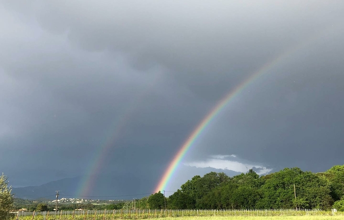 Educational walk in the heart of the Mas Caron vineyard €6.00