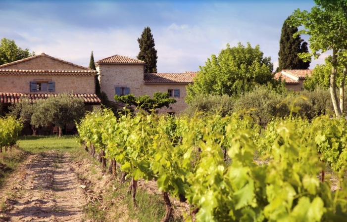 Educational walk in the heart of the Mas Caron vineyard €6.00