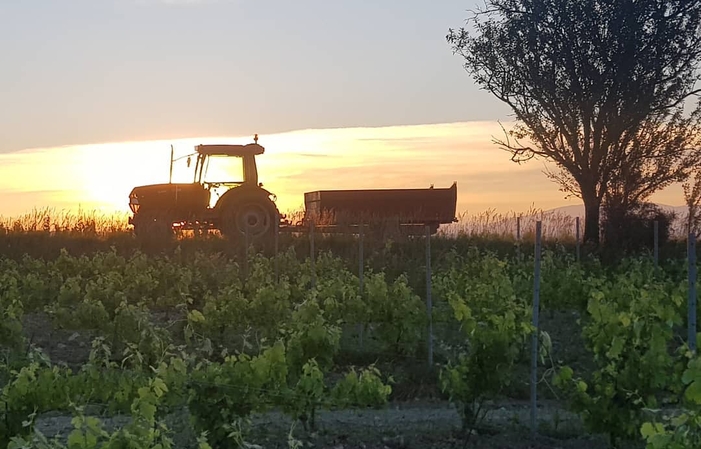 Tasting tour of the Domaine de Cousignac €15.00