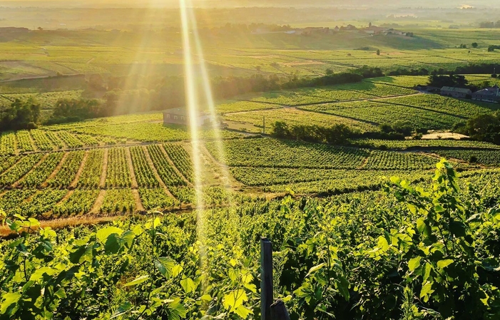 Visit and tastings at the Château de Poncié €49.00