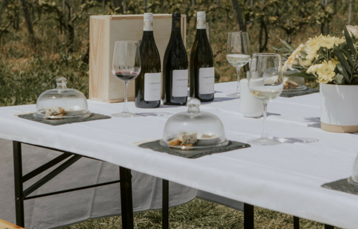 Visit of the Domaine la Bouche Du Roi With food and wine pairings €49.00