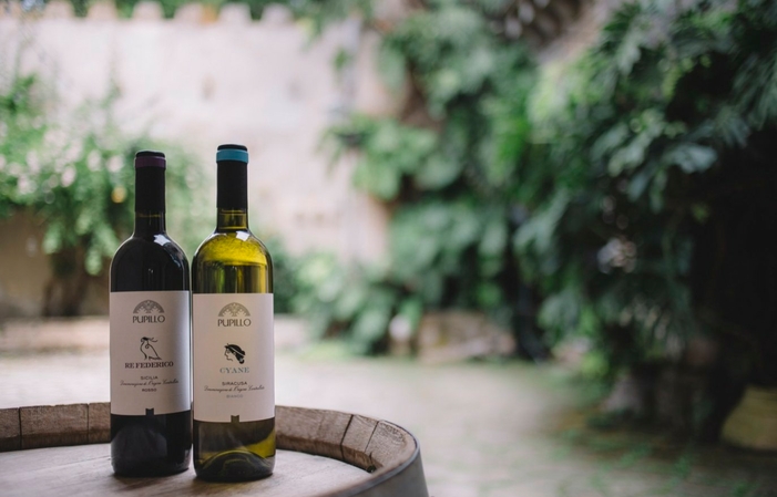 Visit and tasting : Siracusa DOC Intro €25.00