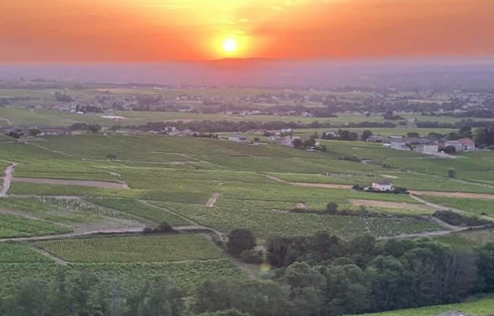 Visit and tastings at the Château de Poncié €49.00