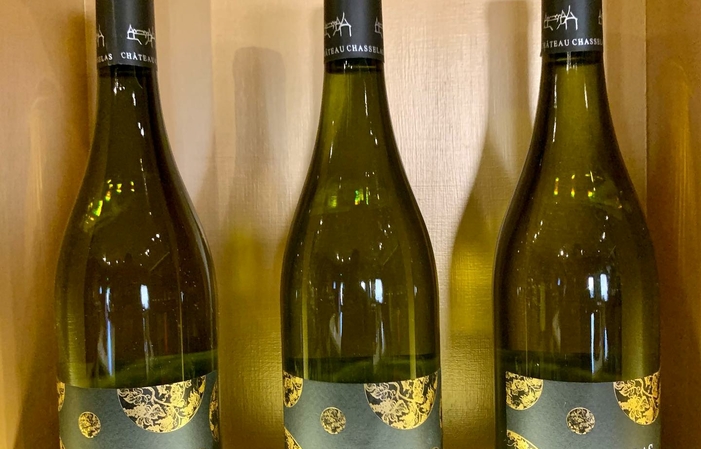 Visit and tastings at the Château de Chasselas €35.00