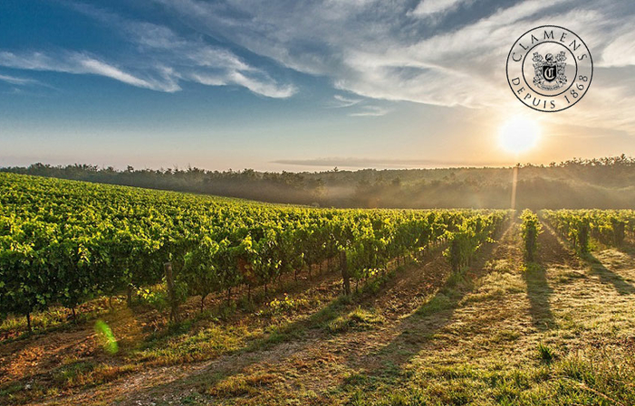 Visit and Tasting at Château Clamens €1.00