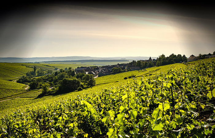 Visit and Tasting at Domaine Jean-Claude Martin €1.00