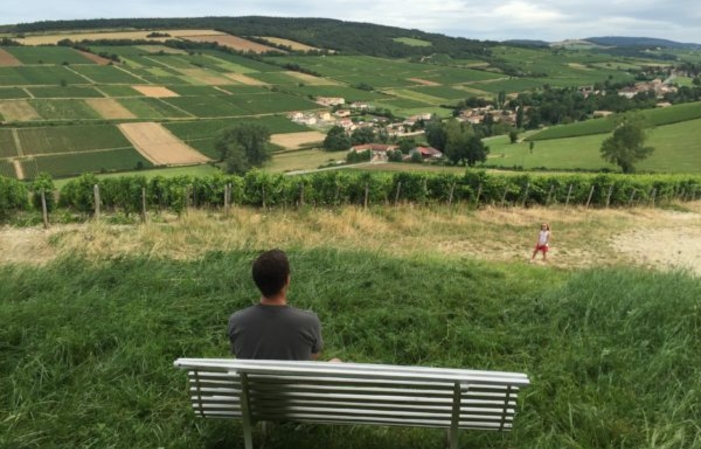 Picnic Meal in the Vineyards of the Château de la Greffière €29.50