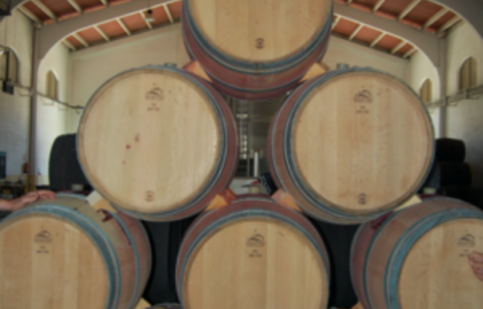 Visit of the Domain BODEGA CERRO SAN CRISTOBAL - WINERY €1.00