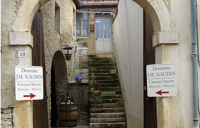 Visit and Tasting in our Cellar in Savigny-les-Beaune €1.00