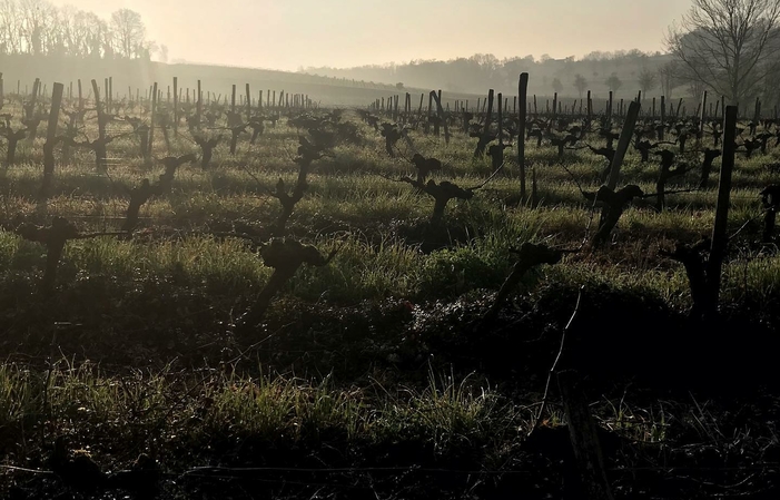 Visit and tasting at Château Bégot €1.00
