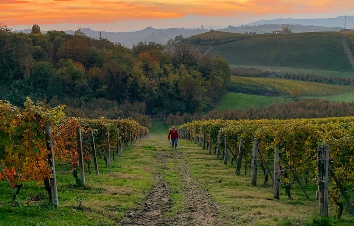 Visit and wine tasting €1.00