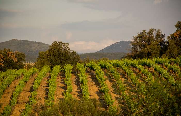 Visit and Tasting at the Domaine des Prés Lasses €1.00