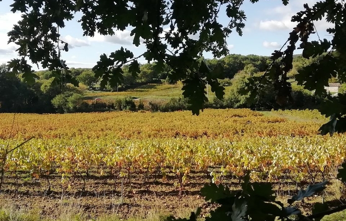 Tasting tour of the Domaine de Cousignac €15.00