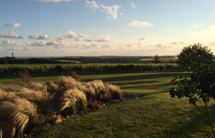 Visit and Tasting at domaine Côtes de l'Estuaire €1.00