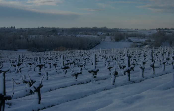 Visit and Tasting at Château Les Tours Seguy €1.00
