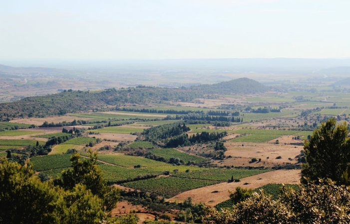 Visit and Tasting at Château La Baronne €1.00