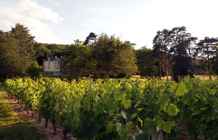 Visit and Tasting at Vaugaudry Castle €1.00