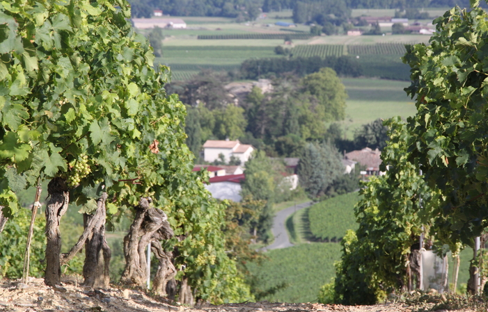 Visit and Tasting at Domaine Sarrabelle €1.00
