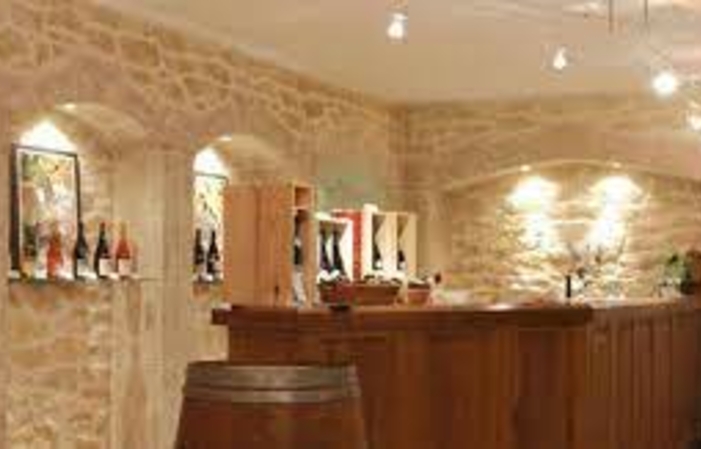 Visit and tasting Domaine Martin €1.00